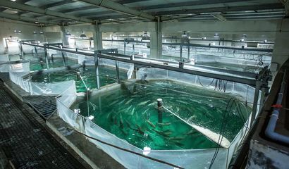 喜報！國信集團兩家水產品公司入選青島首批新經濟潛力企業