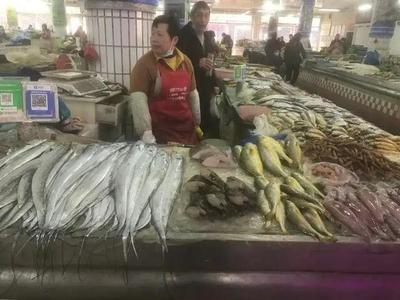 浙江水產市場現“黃金海鮮” 一斤飆至五百元，朋友圈里的價格驚嘆號